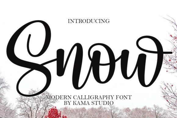 Snow: The Typeface That Brings Grace and Sophistication to Modern Design